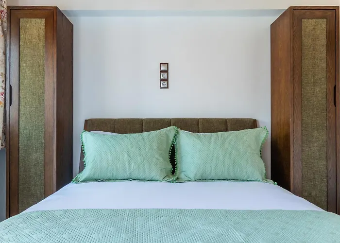 Ikia Alexander Case de vacanță